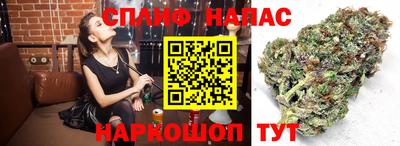 каннабис Кунгур