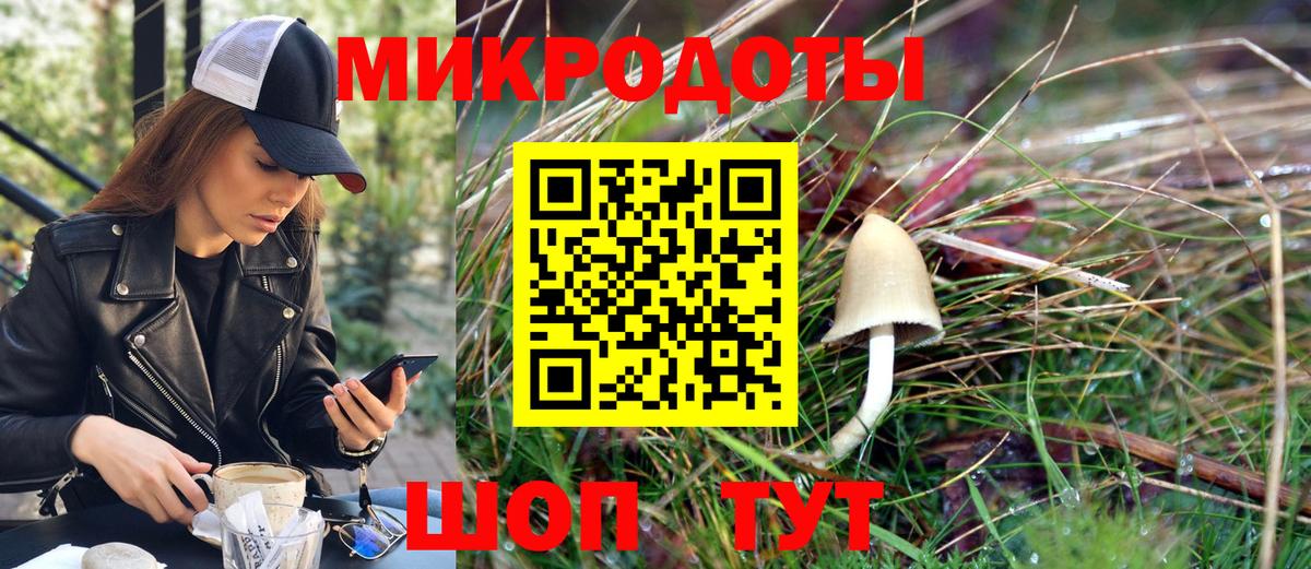 где купить наркоту  Вход с VPN  Касимов  Галлюциногенные грибы прущие грибы 